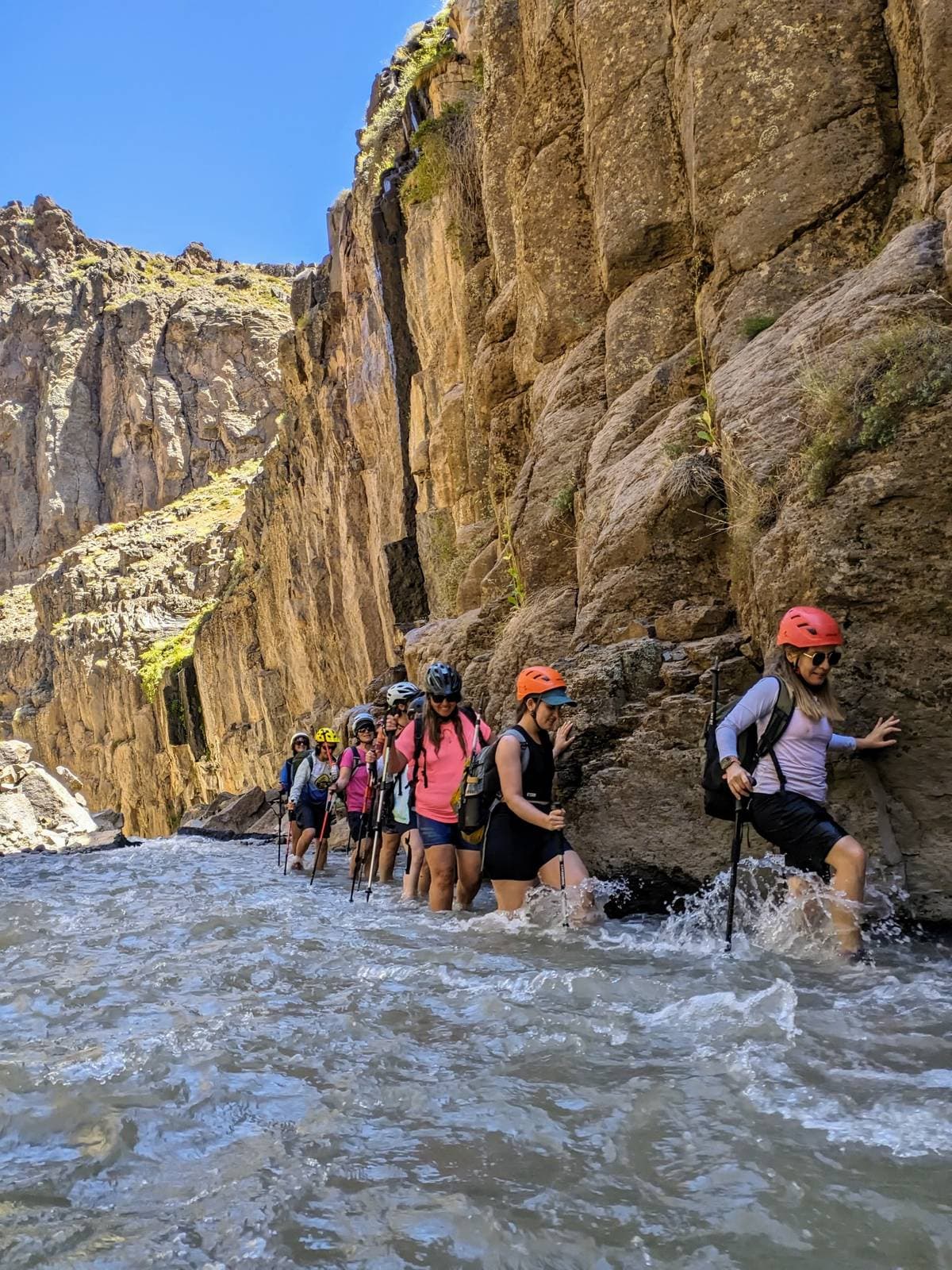 piuque picun agencia de turismo